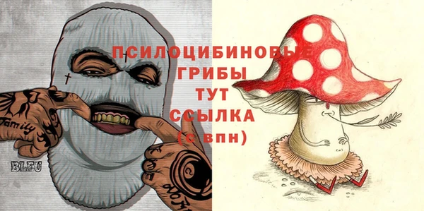 гашиш Заводоуковск