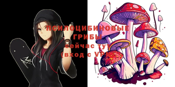 таблы Заволжск