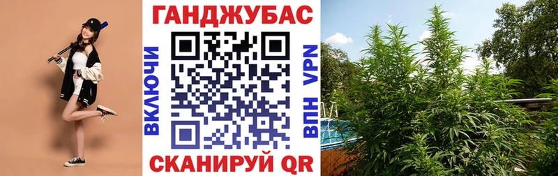 Марихуана OG Kush  Купить где  Агидель 